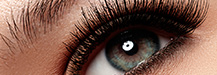 Lashes & Brows